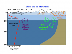 Wave Sea Interactions