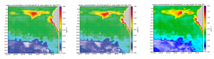 Tara Pacific Mercator Ocean information chlorophyll