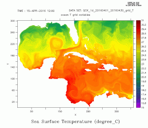 Sea Surface Temperature - Cuba