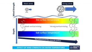 effect of wind on sea temperatures