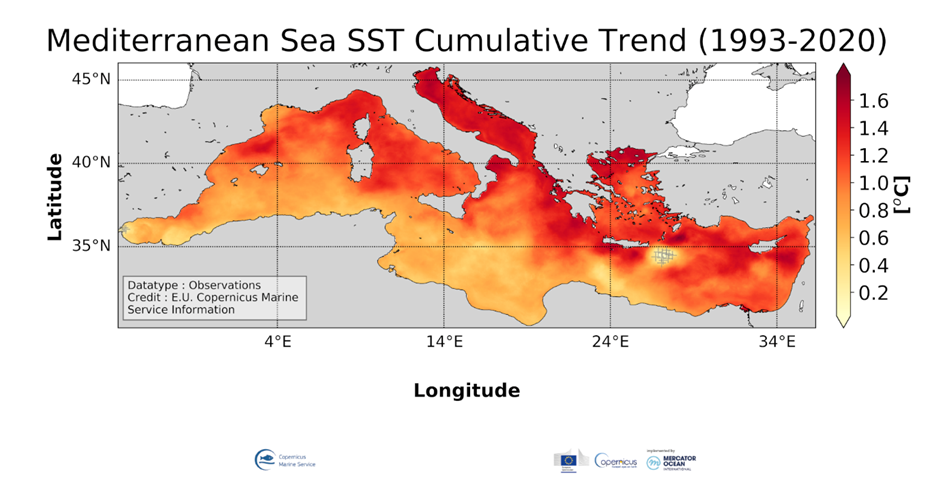 OMI température méditerranée : tendances