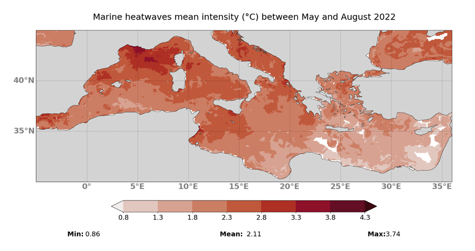 Marine heatwaves mean intensity between may and august 2022