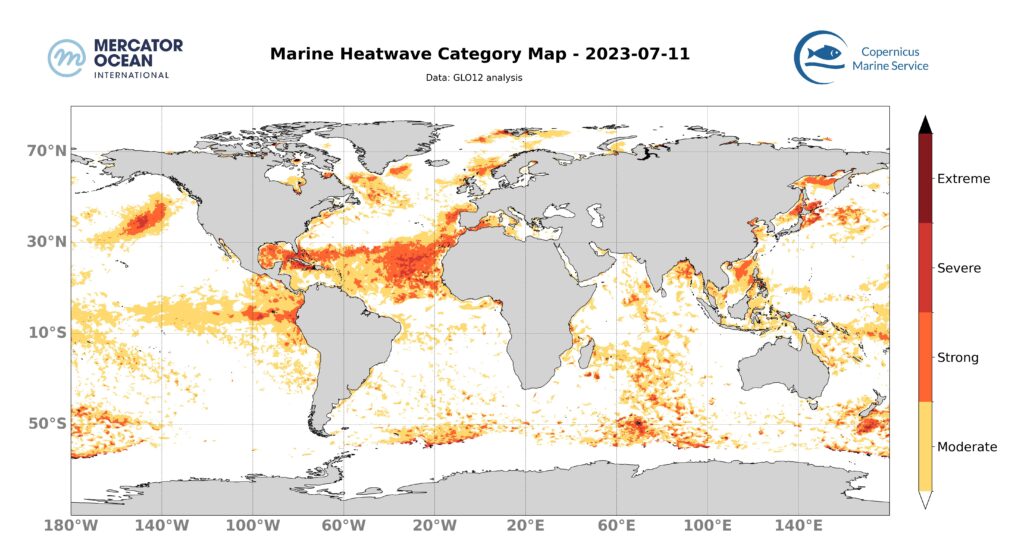 Marine heatwave July 11 2023