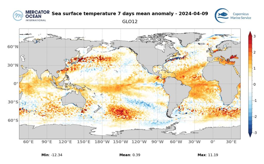 marine heatwave anomalies map