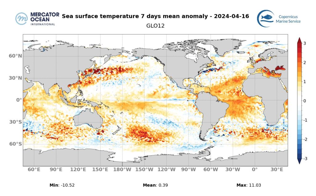 Marine heatwave anomalies map