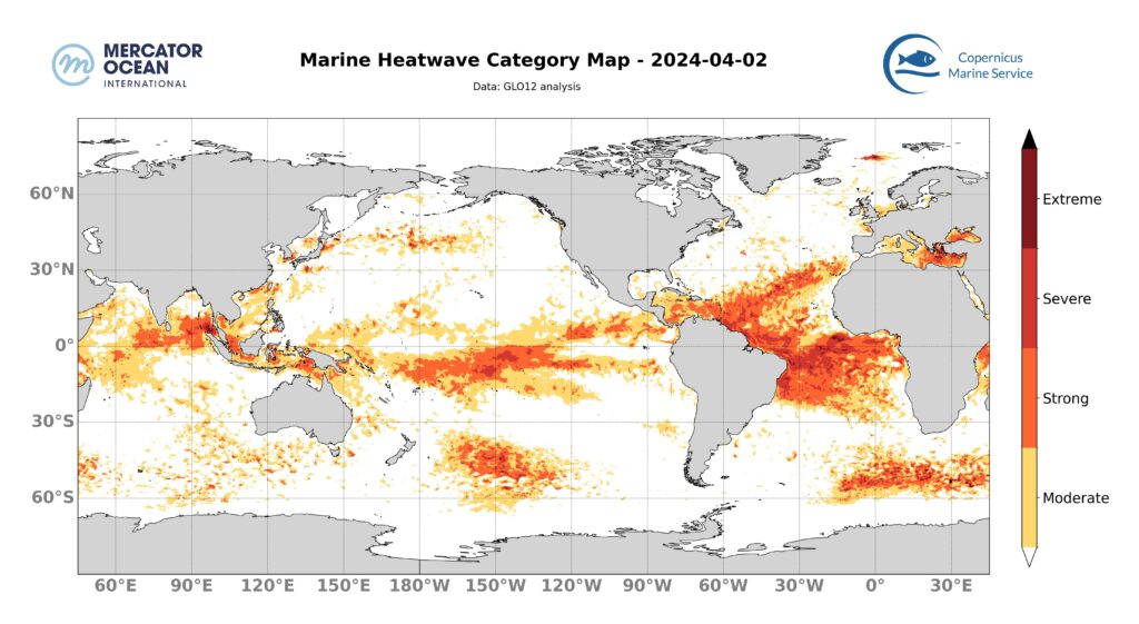 marine heatwave map