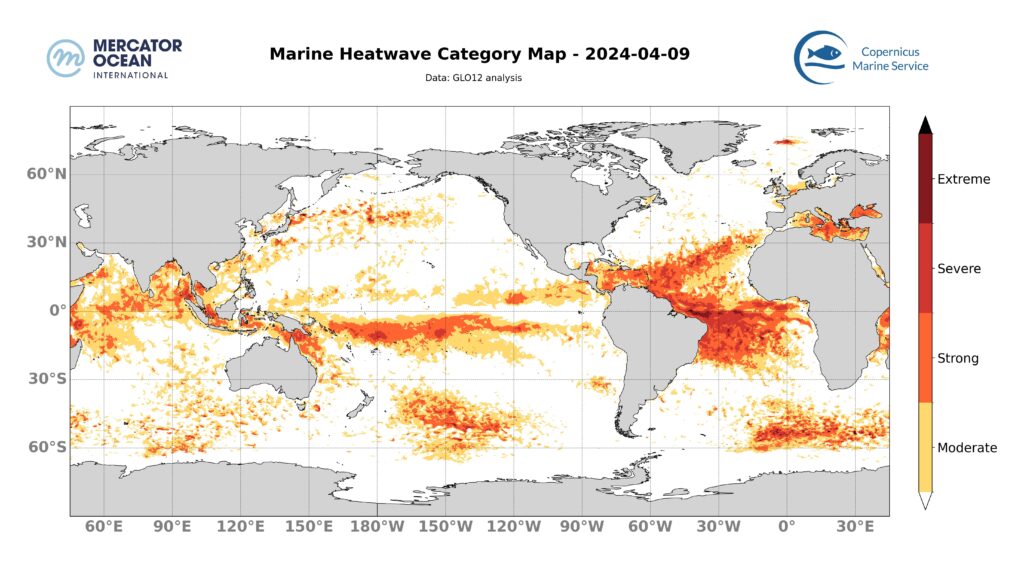 Carte catégories vague de chaleur marine