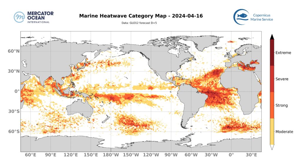 Categories marine heatwaves