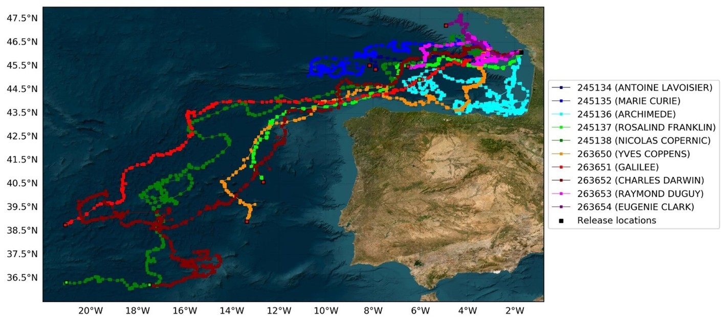 Turtle Tracking Map Unprecedented Year-Long Tracking of Juvenile Loggerhead Turtles Thanks ...