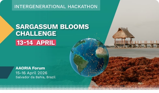 Sargassum Bloom Challenge
