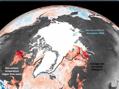 2025 November SST in the Arctic