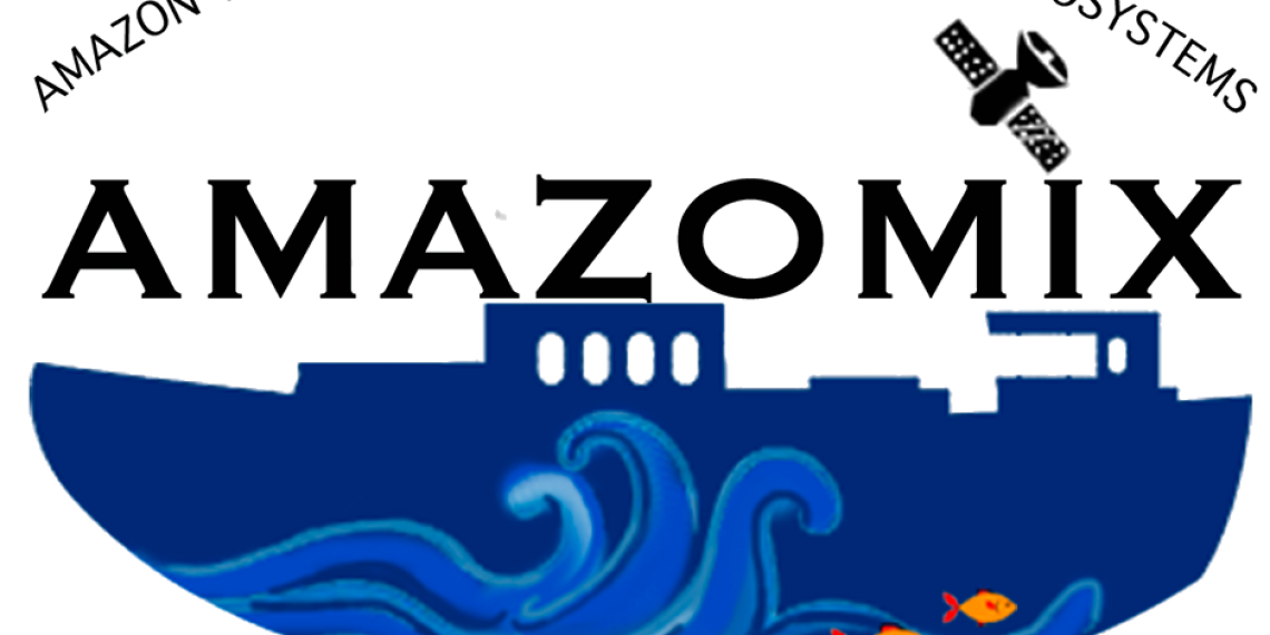 AMAZOMIX_transparent-2