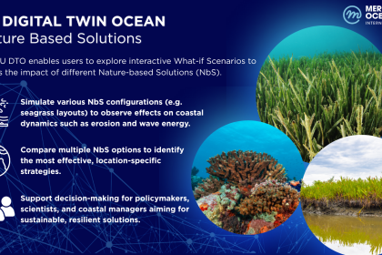 EU DTO Demos_NatureBasedSolutions_VF