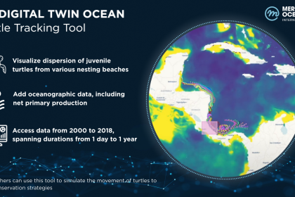 EU-DTO-Demos_TurtleTracker-1