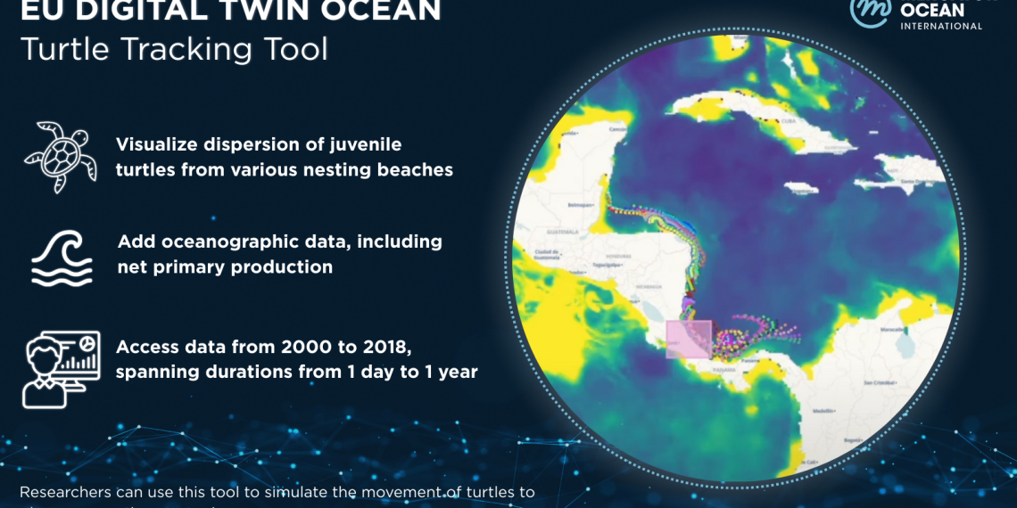 EU-DTO-Demos_TurtleTracker-1