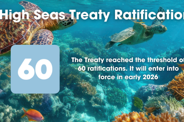 MOi_press briefing_high res1200x627 (5)