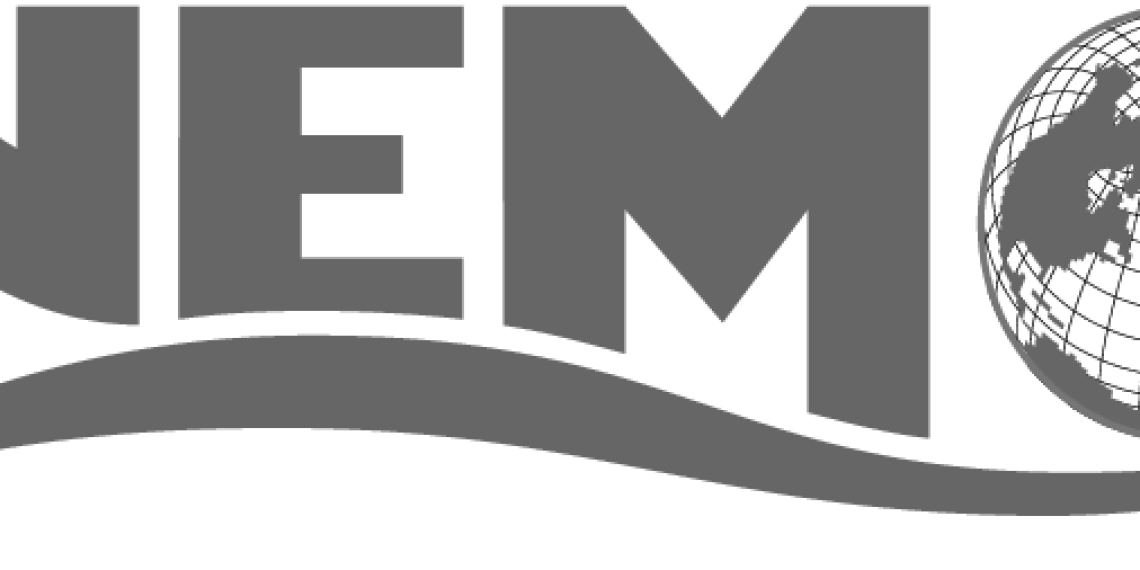 NEMO-organizational-chart