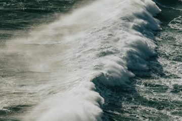 Photo-de-Ave-Calvar-Martinez-provenant-de-Pexels