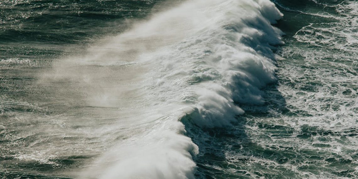 Photo-de-Ave-Calvar-Martinez-provenant-de-Pexels