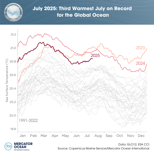 Daily sea surface temperatures averaged for the global ocean between 1991-2020 using ESA’s Climate Change Initiative (grey shades), and between 2021-2025 (colored shades) using Mercator Ocean International GLO12 analysis and forecast.
