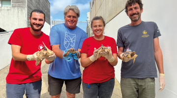 Screenshot 2025-09-03 162841