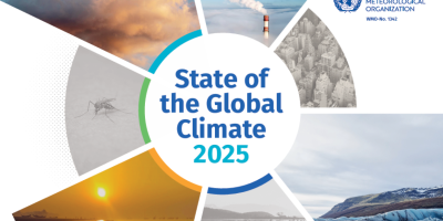 Screenshot 2026-03-12 084653