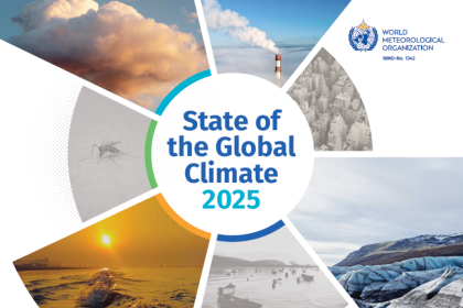 Screenshot 2026-03-12 084653