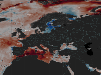 Sea Surface Temperature Anomalies 8june2025