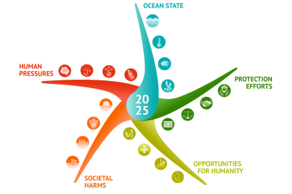 Starfish Barometer 2025