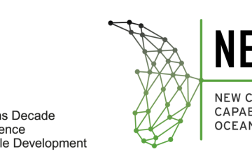 UN-Decade-NECCTON-_-EN-Baselines