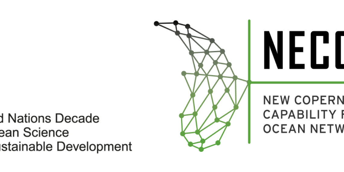 UN-Decade-NECCTON-_-EN-Baselines