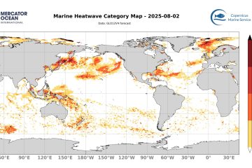 categ_global_GLO12V4_SST_0m_FCST_2025-08-02