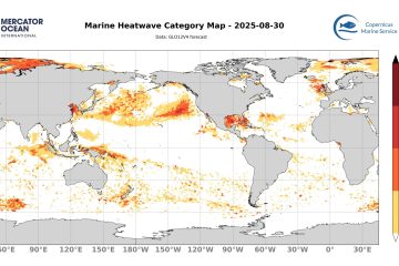 categ_global_GLO12V4_SST_0m_FCST_2025-08-30