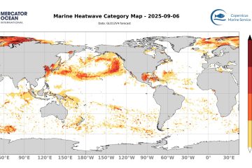 categ_global_GLO12V4_SST_0m_FCST_2025-09-06