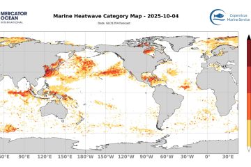 categ_global_GLO12V4_SST_0m_FCST_2025-10-04