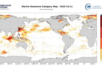 categ_global_GLO12V4_SST_0m_FCST_2025-10-11