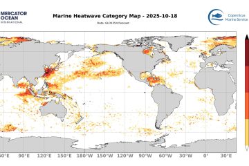 categ_global_GLO12V4_SST_0m_FCST_2025-10-18