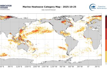 categ_global_GLO12V4_SST_0m_FCST_2025-10-25 (1)