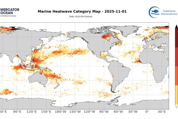 categ_global_GLO12V4_SST_0m_FCST_2025-11-01