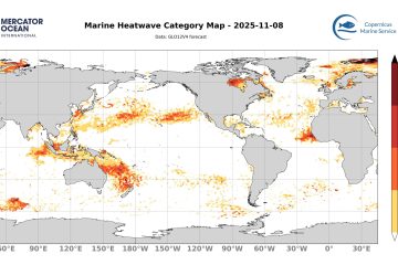 categ_global_GLO12V4_SST_0m_FCST_2025-11-08