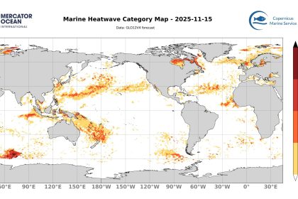 categ_global_GLO12V4_SST_0m_FCST_2025-11-15