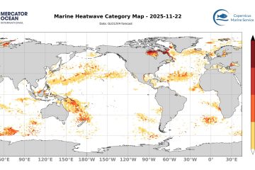 categ_global_GLO12V4_SST_0m_FCST_2025-11-22