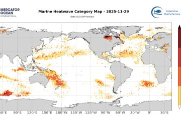 categ_global_GLO12V4_SST_0m_FCST_2025-11-29
