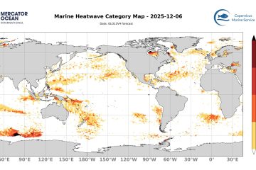 categ_global_GLO12V4_SST_0m_FCST_2025-12-06 (1)
