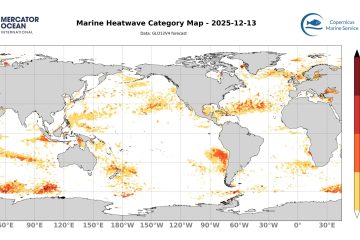 categ_global_GLO12V4_SST_0m_FCST_2025-12-13