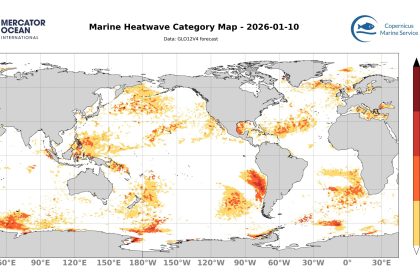 categ_global_GLO12V4_SST_0m_FCST_2026-01-10