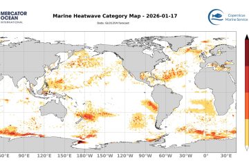 categ_global_GLO12V4_SST_0m_FCST_2026-01-17