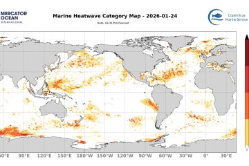categ_global_GLO12V4_SST_0m_FCST_2026-01-24