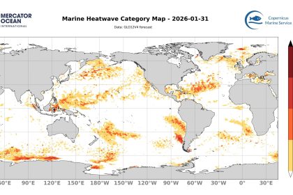 categ_global_GLO12V4_SST_0m_FCST_2026-01-31 (1)