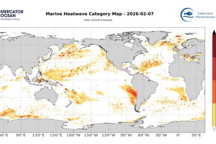 categ_global_GLO12V4_SST_0m_FCST_2026-02-07